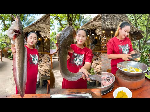 Pregnant chef cook big cat fish recipe with country style 