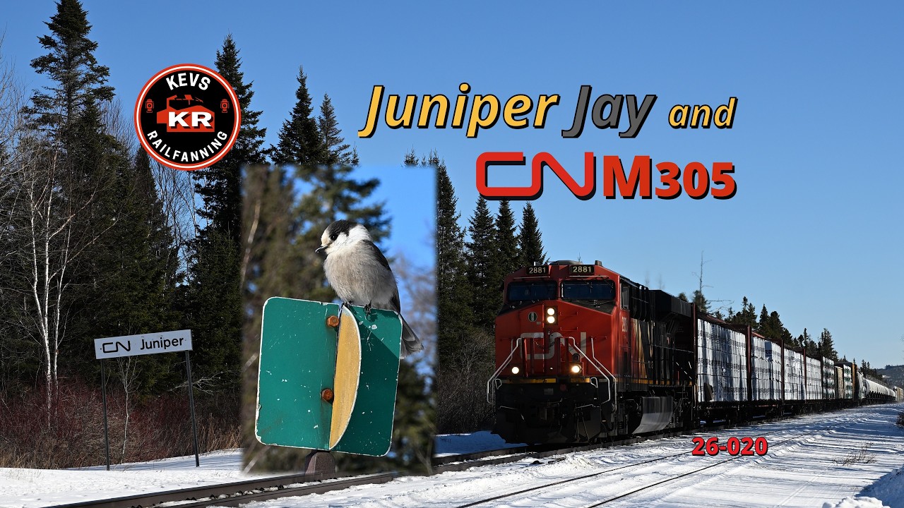 Juniper Jay and CN M305, 26-020