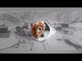 ირაკლი ჩარკვიანი ზამთარია სიცივეა Zviad Bekauri Remix