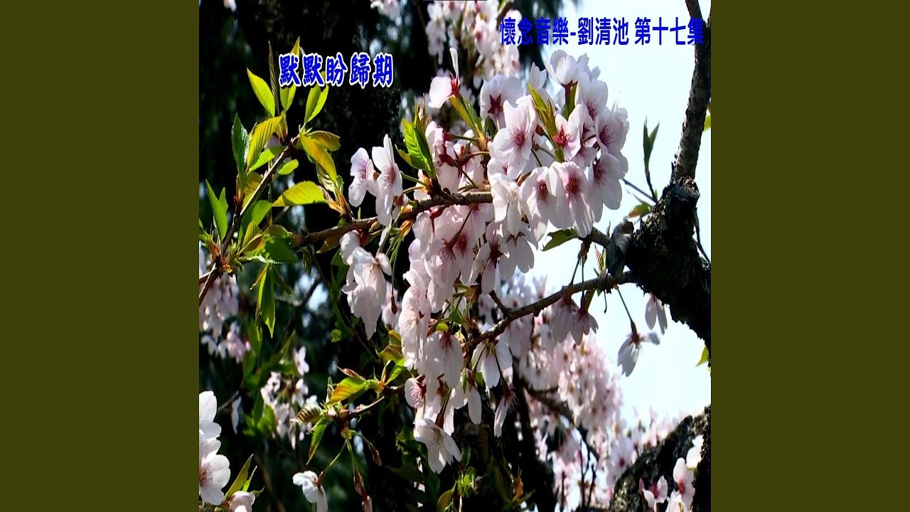 Watch 看破的愛 on YouTube Watch 看破的愛 on YouTube
