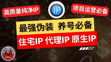 2025年最新高质量纯净住宅ip|双isp原生ip静态动态ip购买|最好用的proxy静态住宅ip|海外项目跨境电商运营必备的socks5 proxy代理ip|链式代理