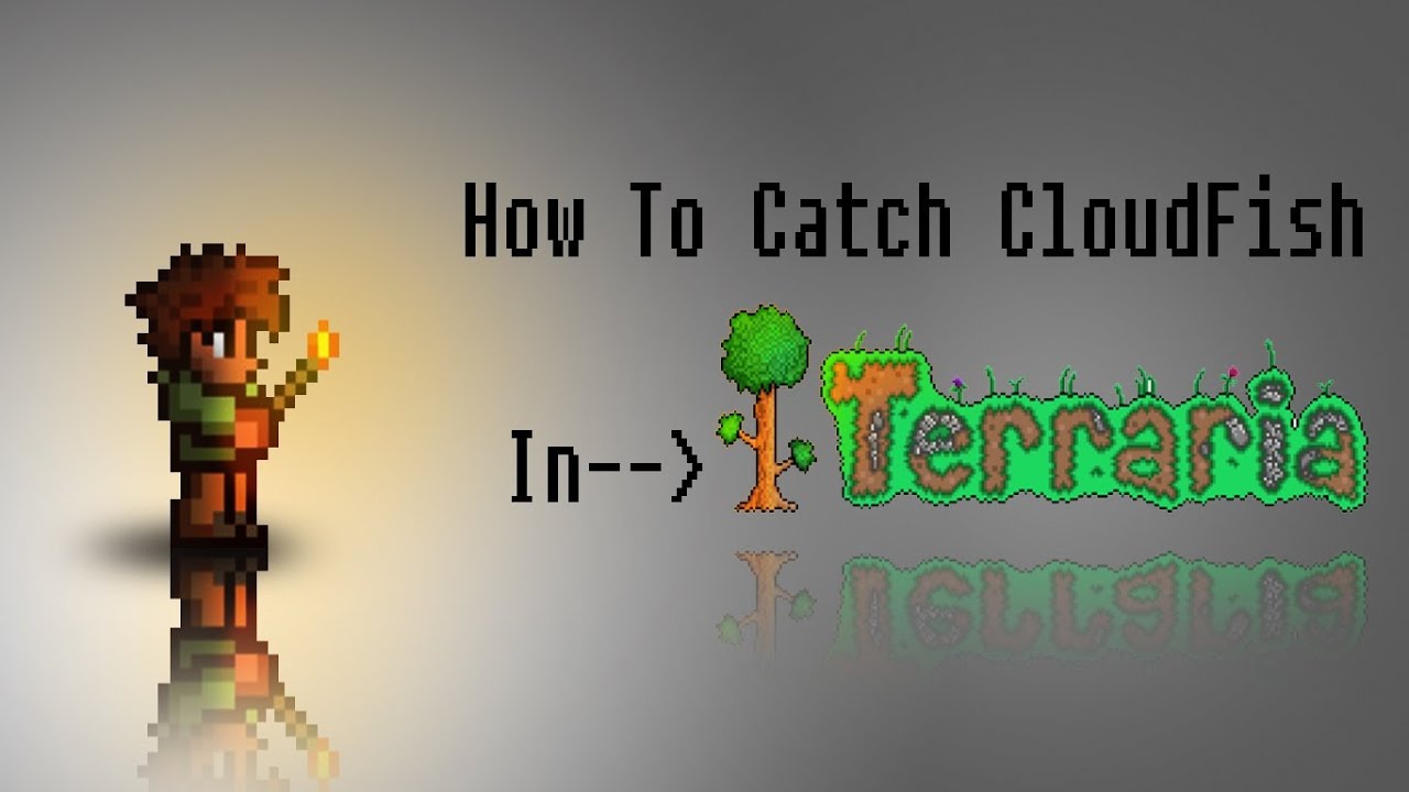 Terraria How To Catch A Cloudfish YouTube
