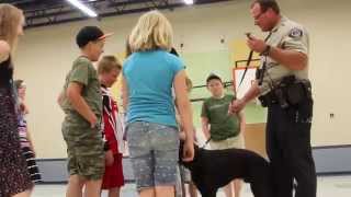 Junior Deputy Academy 2015