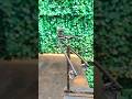 creative toys #skills #welding #diy
