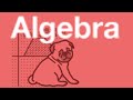 Exponential Equations and Base Conversion Quiz