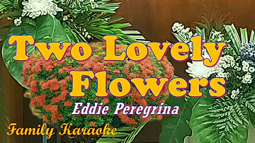 Two Lovely Flowers - Karaoke - Eddie Peregrina #FamilyKaraoke