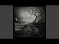 Miniature de la vidéo de la chanson Symphony In C: Iii. Allegro Vivace - Trio