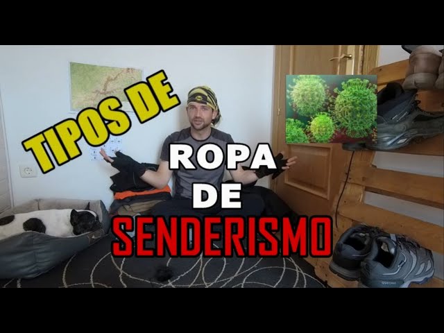 Ropa de senderismo🎽 Camisetas técnicas🎽 