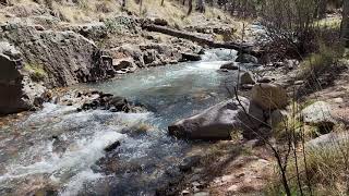 Swift flow on Turkey Creek