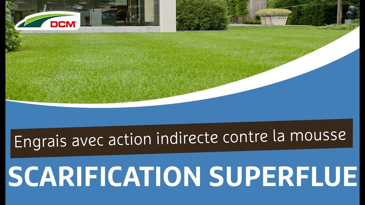 Engrais avec action indirecte contre la mousse, scarification superflue - Microgazon Plus DCM