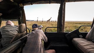 WILDLIFE PHOTOGRAPHY ON SAFARI  Photographing Buffalo, Giraffe and a lot more.