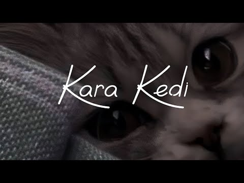 Melis Fis - Kara Kedi(speed up)