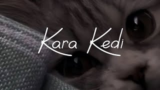 Melis Fis - Kara Kedi(speed up)