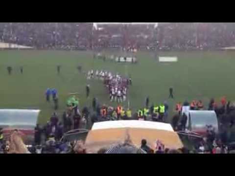 Georgia 22:9 Romania ,after match