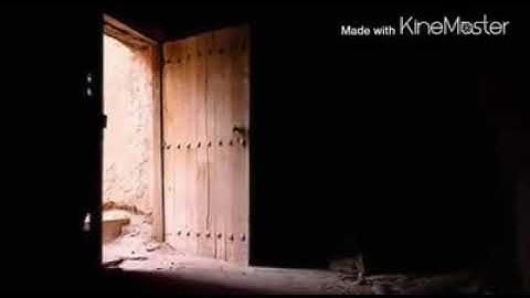 الله ولي الذين آمنوا.. آيات من سورة البقرة بصوت محمد السويد