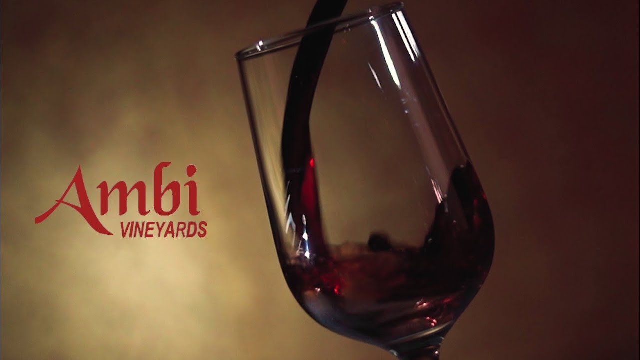 Sauvignon Ambi Wine Red wine dry YouTube