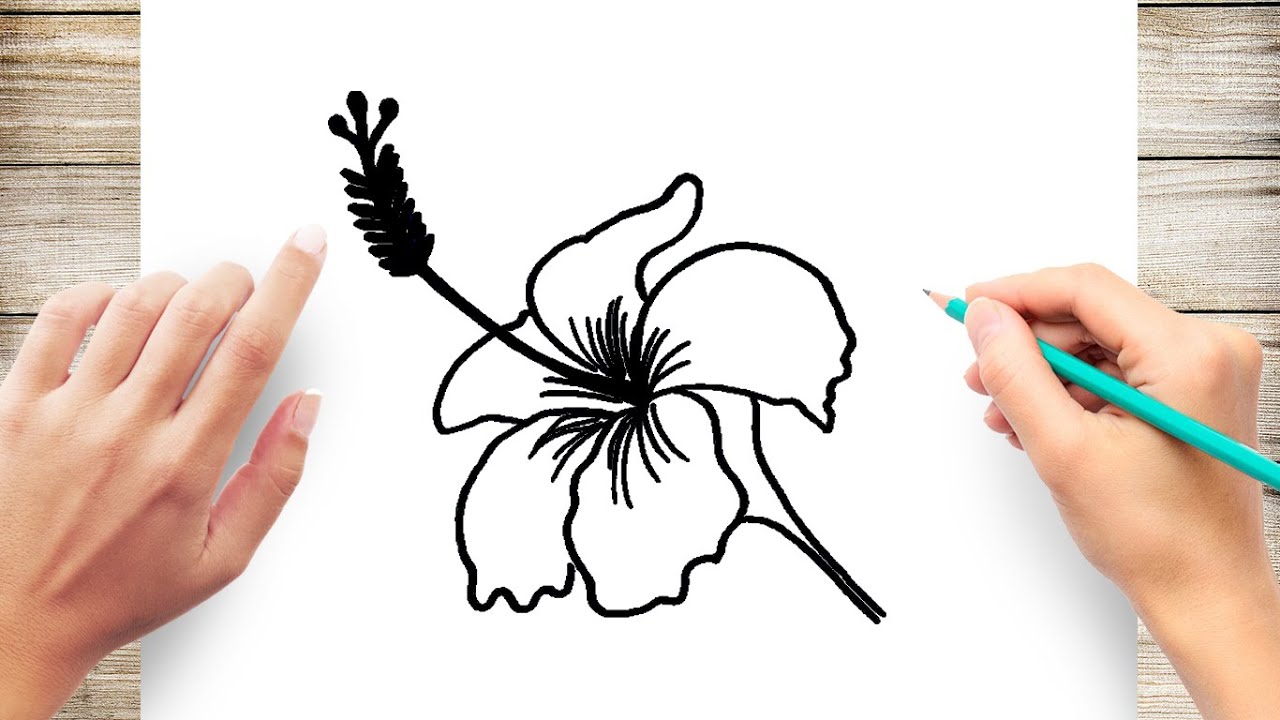 How to Draw a Hibiscus Flower Step by Step #HibiscusFlower - YouTube