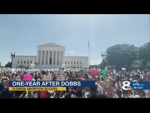 Florida Democrats Fighting For Abortion Access One Year After Dobbs