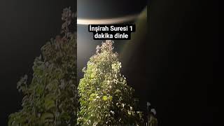 inşirah Suresi 1 dakika dinle #kuran #bereket
