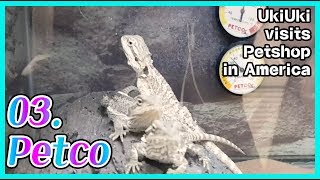 UKIUKI Visit LA Pet Shop in the USA Petco Review 1