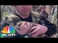 Watch: Rescuers Pull Puppy From Rubble Of Destroyed House In Eastern Ukraine