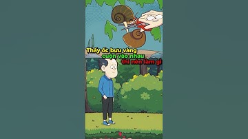 Thấy ốc bưu vàng cuộn vào nhau thì nên làm gì?