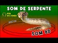 SOM DE SERPENTE - SOM DE ANIMAIS - Efeito Sonoro
