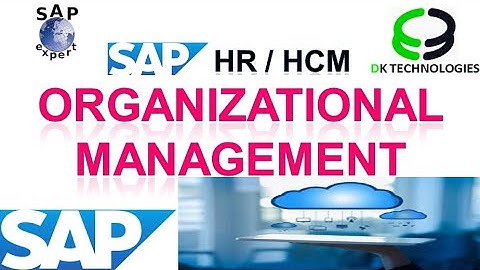 How to Configure Organizational Management in sap | Organizational Structure | DK TECHNOLOGIES