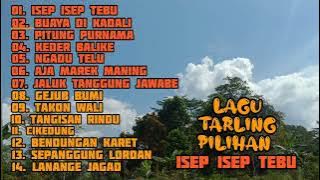 LAGU TARLING PILIHAN || ISEP ISEP TEBU ||