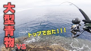 【ロックショア】大型青物回遊中！鹿児島の沖磯でトップ投げたら・・・出たー！！！