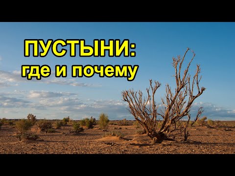 Пустыни: где и почему