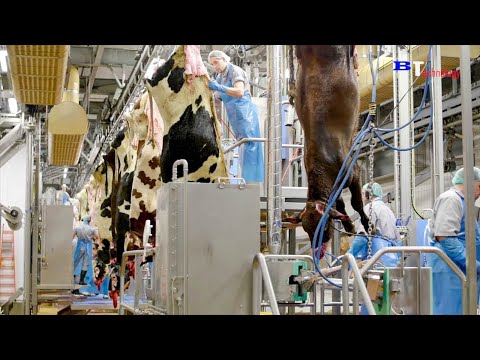 Vídeo: Fábrica de processamento de carne de Ishim e seus produtos