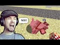 Gamers Reaction to Their Pet's Dying in Minecraft ft. Jacksepticeye, Pokimane, and more!