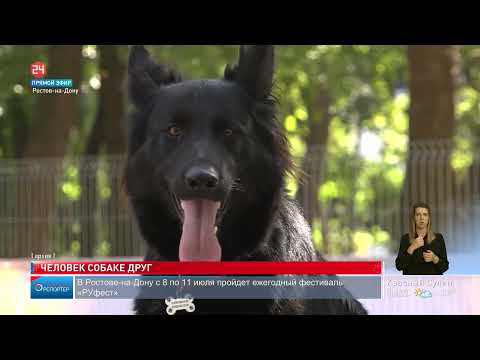 Регламент выгула домашних животных