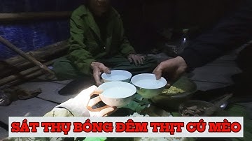 RỪNG THIÊNG SÁT THỤ BÓNG ĐÊM - CHIM CÚ MÈO | Rừng Mùa Đông