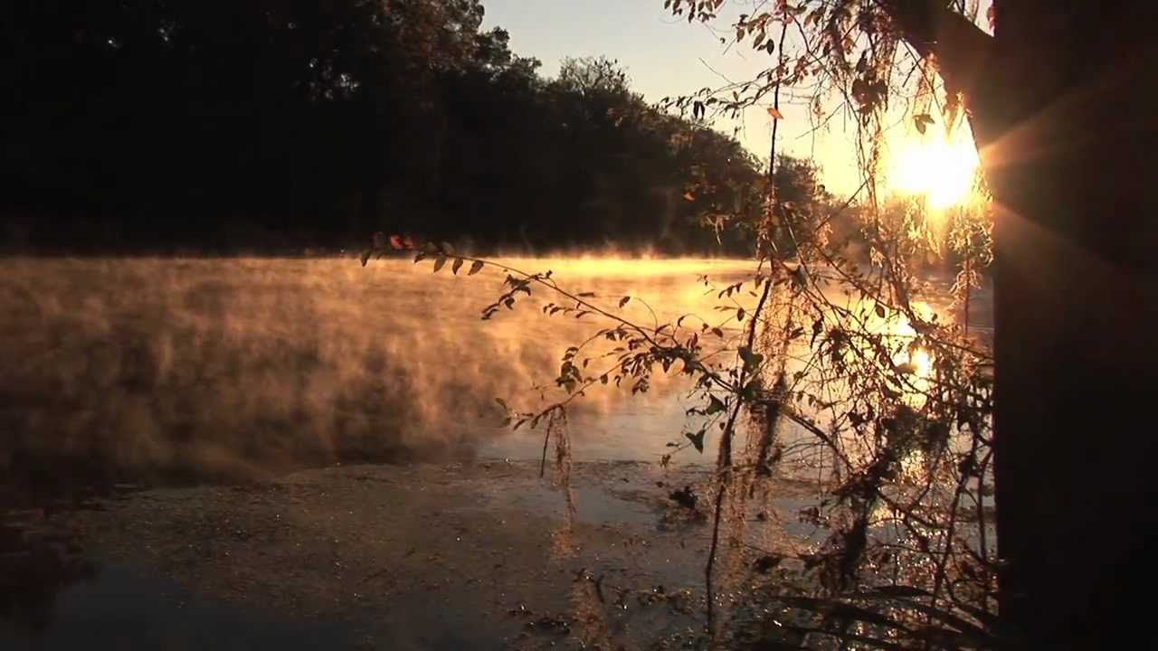 Breathtaking Underwater Cave & River Videos