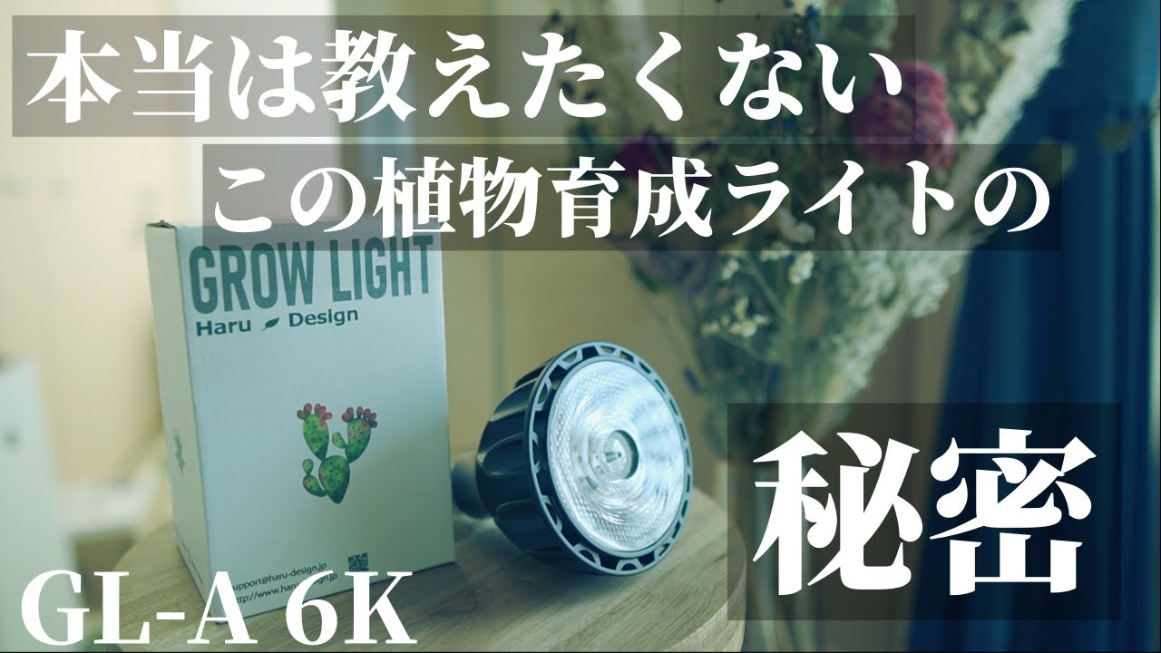 コスパ最強】植物育成用LEDライト「GL-A 6K」をレビュー！安い！明るい 