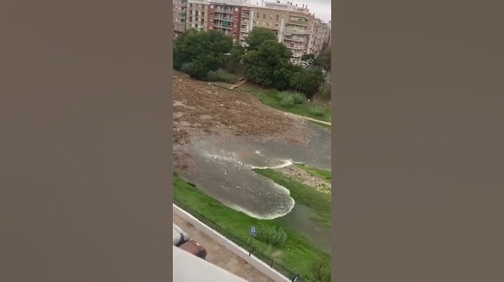 La ATERRADORA LLEGADA de la PRIMERA RIADA a VALENCIA