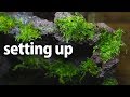 接着した溶岩石を使った25cmキューブ水槽の立ち上げ｜setting up aquascape