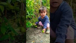 ?| A cute ?Girl Vlog Video in Uttrakhand | Organic Farming | Polyhouse Farmingytshortsshortsfeed❣️