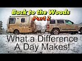 Back in the Woods Part 2: What A Difference a Day Makes