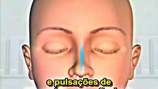 Spiritual Reality   Meditação e Transcendência   PT Br