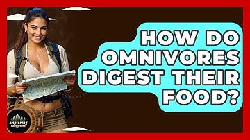 How Do Omnivores Digest Their Food? - Exploring Campgrounds