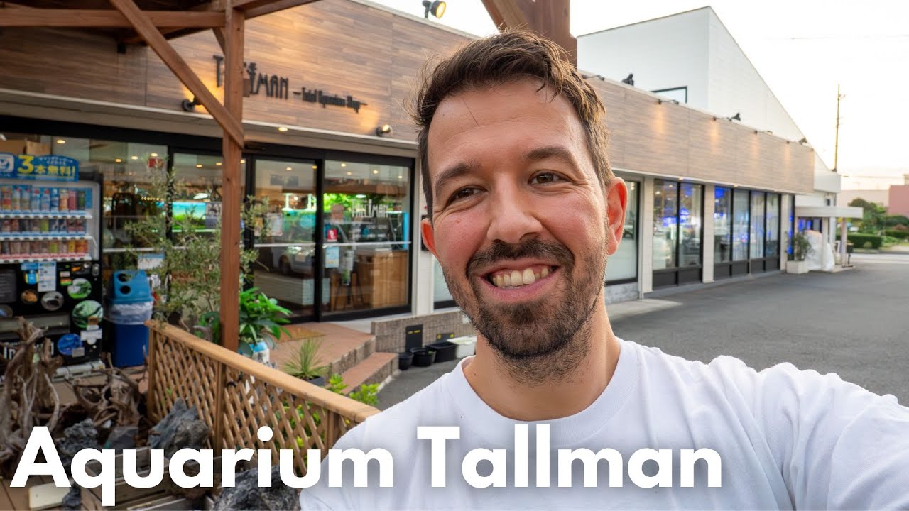 Aquarium Shop Tour in Japan! Aquarium Tallman