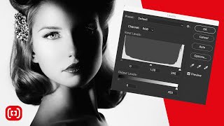 Using Levels To Vastly Improve Your Printing screenshot 4