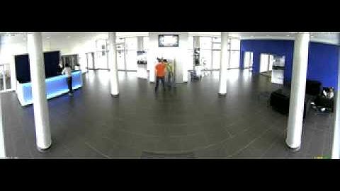 Mobotix Hemispheric Q24 - Panoramic View