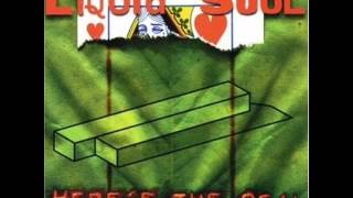 Video thumbnail of "Liquid Soul - Everybody's Got One"