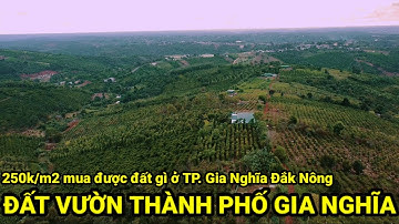 (100) 1ha Đất vườn cà phê, vườn tiêu thành phố Gia Nghĩa, Đắk Nông