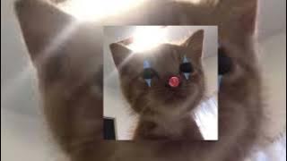 Download lagu Tanpa Cinta - (Sped Up)