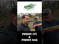#shorts #bugginyou #pestcontrolguys   What's buggin you? Ep 39